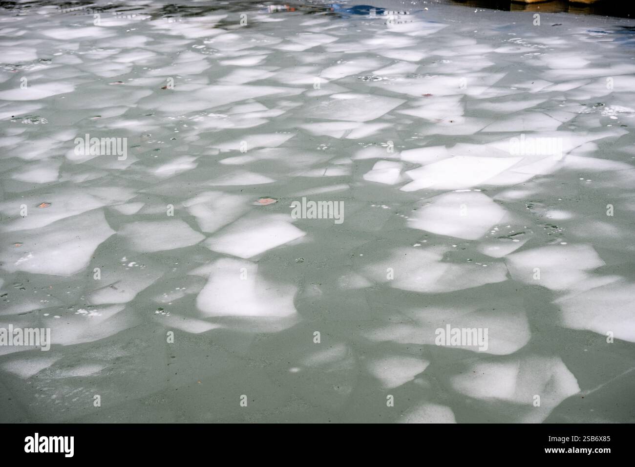 WASHINGTON DC - i visitatori scattano foto dei fiori di ciliegio in piena fioritura lungo il bacino delle maree a Washington DC. Turisti e locali utilizzano smartphone e fotocamere per documentare lo spettacolo annuale di fiori rosa e bianchi, creando un'atmosfera vivace durante il picco del National Cherry Blossom Festival. Il Jefferson Memorial può essere visto sullo sfondo, incorniciato dai ciliegi Yoshino in fiore. Foto Stock