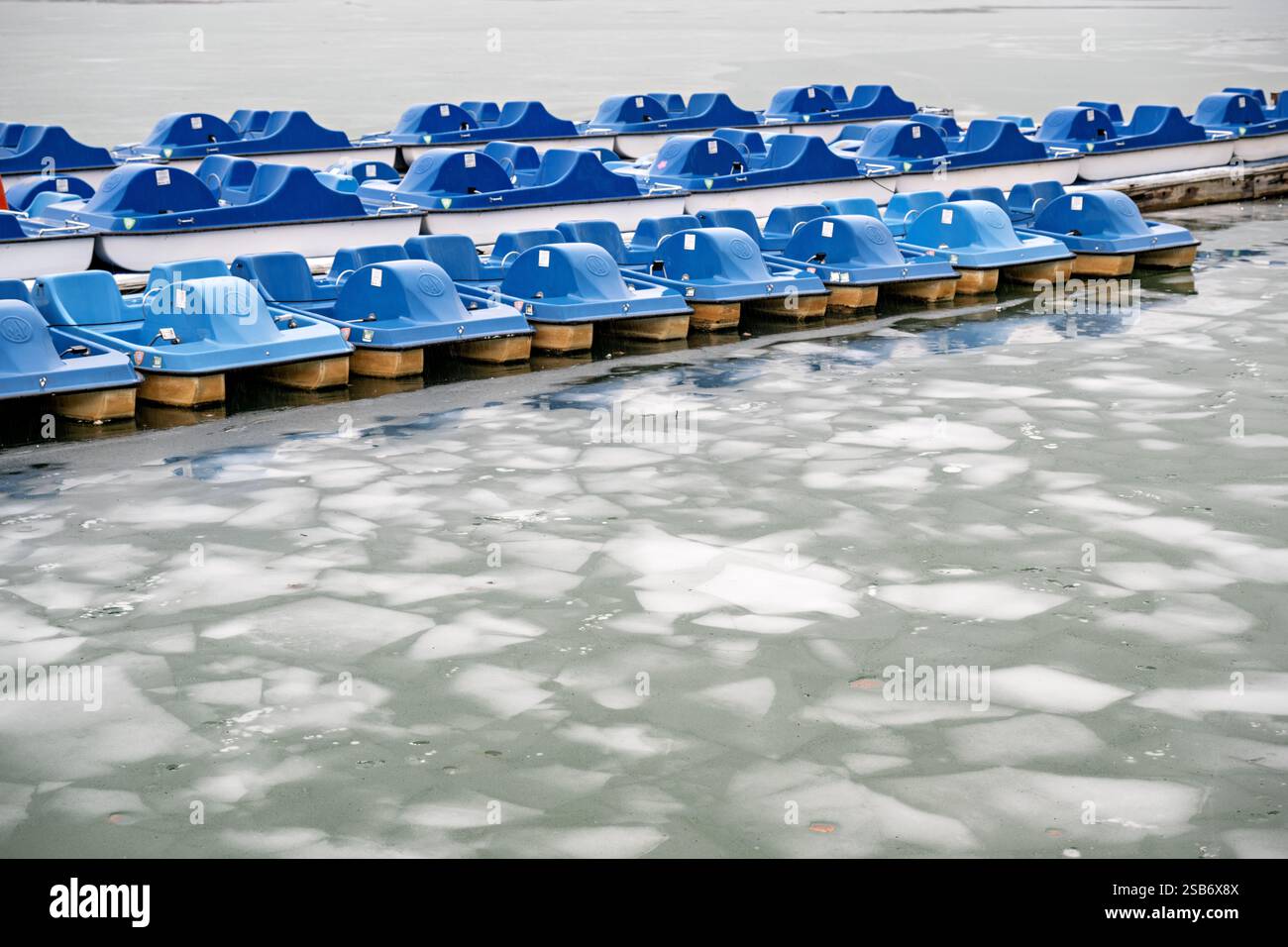 WASHINGTON DC - i visitatori scattano foto dei fiori di ciliegio in piena fioritura lungo il bacino delle maree a Washington DC. Turisti e locali utilizzano smartphone e fotocamere per documentare lo spettacolo annuale di fiori rosa e bianchi, creando un'atmosfera vivace durante il picco del National Cherry Blossom Festival. Il Jefferson Memorial può essere visto sullo sfondo, incorniciato dai ciliegi Yoshino in fiore. Foto Stock