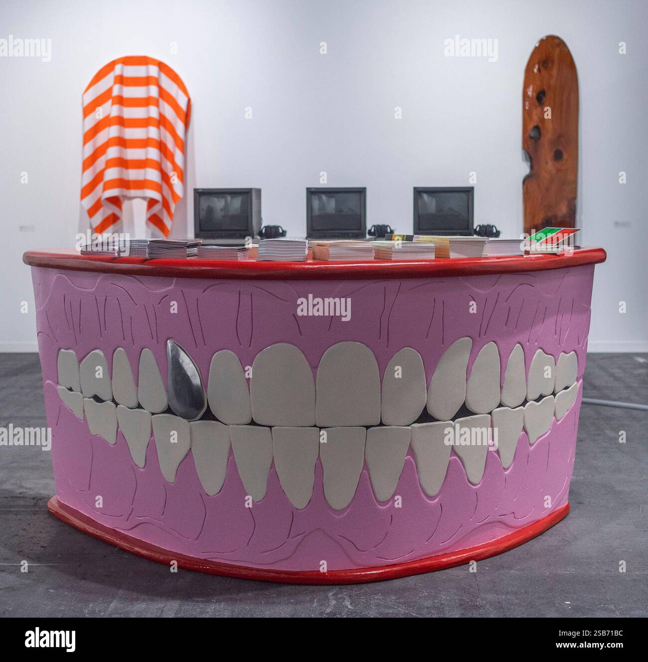 Ginevra, Ginevra, Svizzera. 1 febbraio 2025. Ginevra Svizzera, 02/01/2025: FMAC (Collezione d'Arte Contemporanea della città di Ginevra) presenta LES INSPIRATIONS 2024 durante Art Geneva, Art Fair 2025. Art Geneva, Art Fair 2025, una fiera d'arte di fama internazionale che comprende artisti internazionali, si è svolta presso il Geneva International Exhibition and Convention Center di Ginevra. (Immagine di credito: © Eric Dubost/ZUMA Press Wire) SOLO PER USO EDITORIALE! Non per USO commerciale! Crediti: ZUMA Press, Inc./Alamy Live News crediti: ZUMA Press, Inc./Alamy Live News Foto Stock