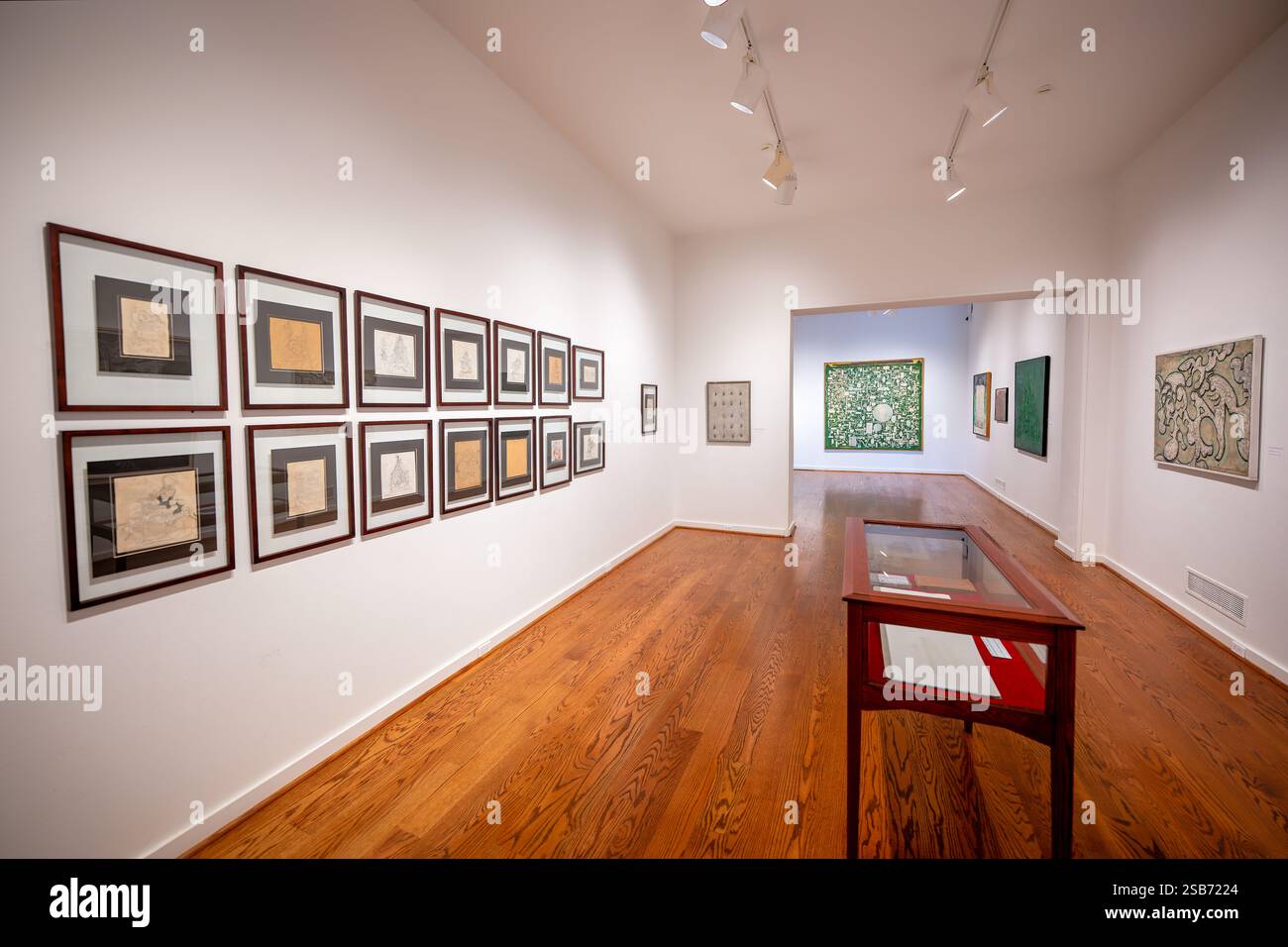 Art Museum of the Americas Enrique Tábara Exhibition Washington DC // WASHINGTON DC — The Art Museum of the Americas presenta "in the Age of the Gods: The ancestral Footprint of Enrique Tábara", con opere dell'artista ecuadoriano (1930-2021). La mostra include il suo dipinto del 1964 "Tiahuanaco", mostrato per la prima volta all'Unione Pan americana, insieme a pezzi della sua serie finale "Colección Latinoamérica". Lo spettacolo esplora il profondo legame di Tábara con la cultura precolombiana attraverso due distinti periodi della sua carriera artistica. Foto Stock