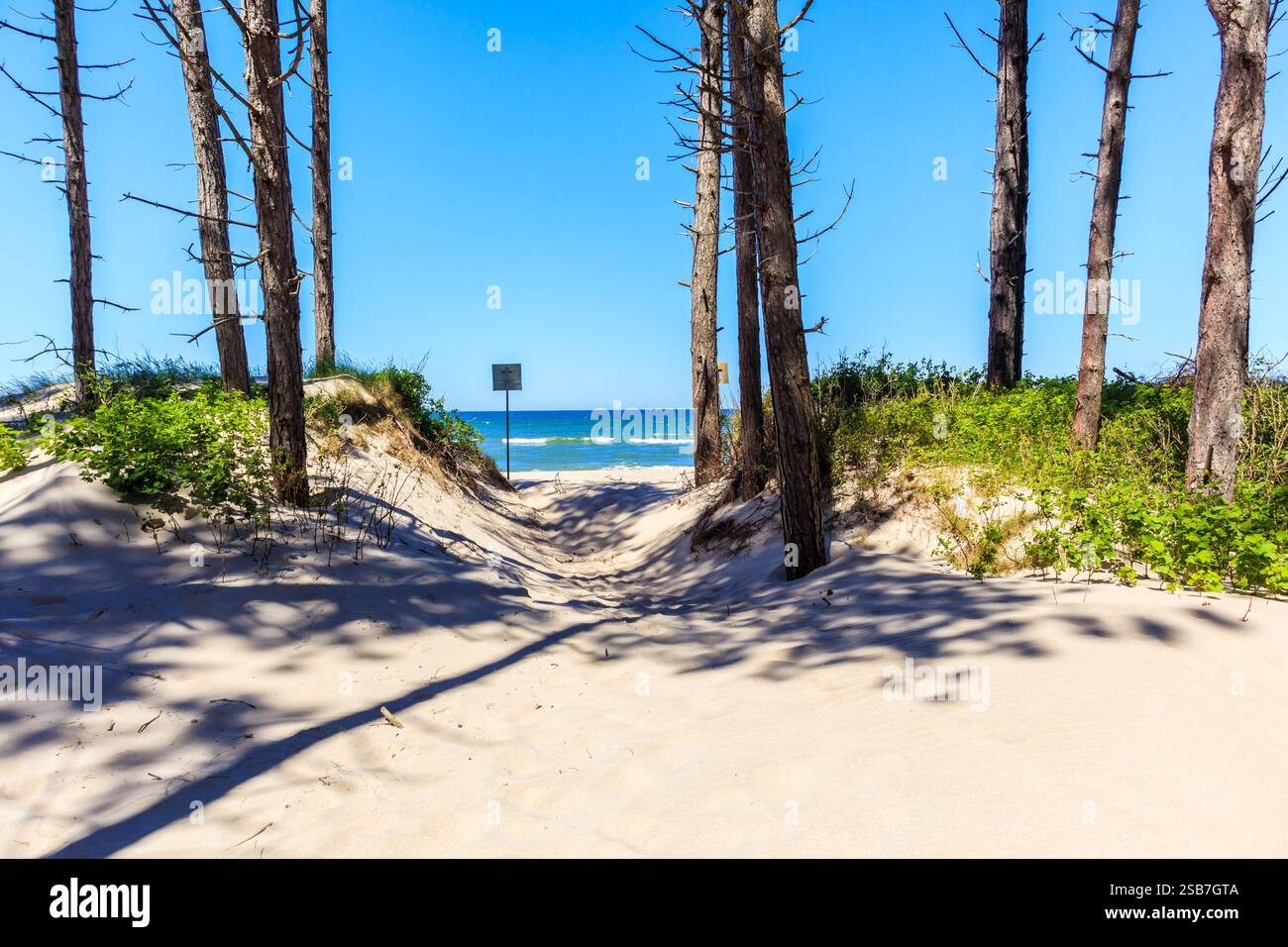 Ingresso dalla foresta alla splendida spiaggia vicino a Kolobrzeg, costa del Mar Baltico, Polonia Foto Stock