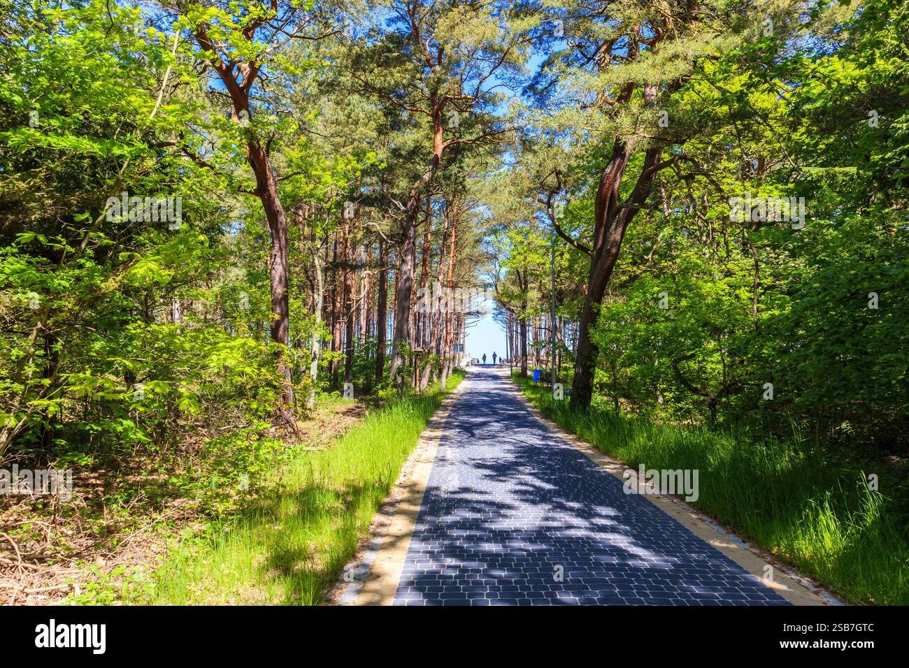 Ingresso dalla foresta alla splendida spiaggia vicino a Kolobrzeg, costa del Mar Baltico, Polonia Foto Stock