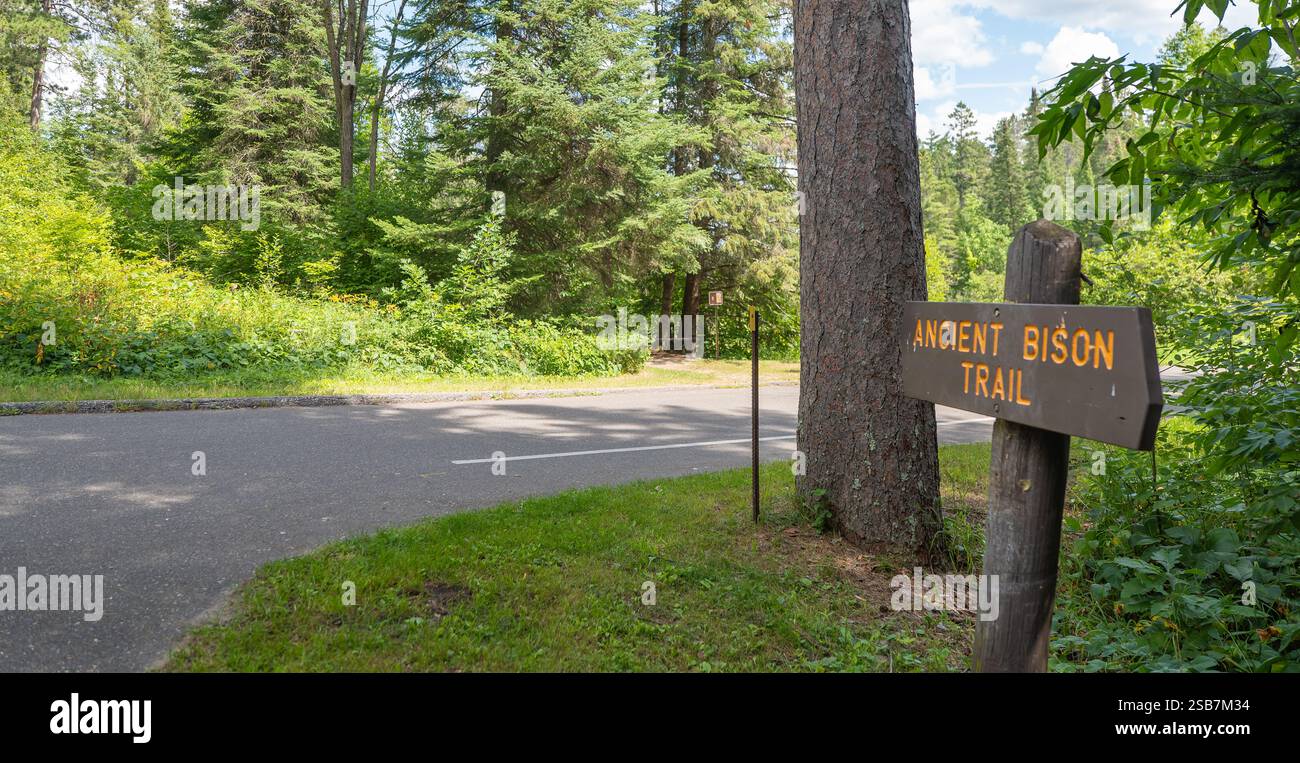 CLEARWATER CO MN - 12 AUG 2024: Cartello in legno per un antico sentiero bisonte accanto a una strada nel Parco Statale di Itasca in Minnesota. Foto Stock CLEARWATER CO MN - 12 AUG 2024: Cartello in legno per un antico sentiero bisonte accanto a una strada nel Parco Statale di Itasca in Minnesota. Foto Stock
