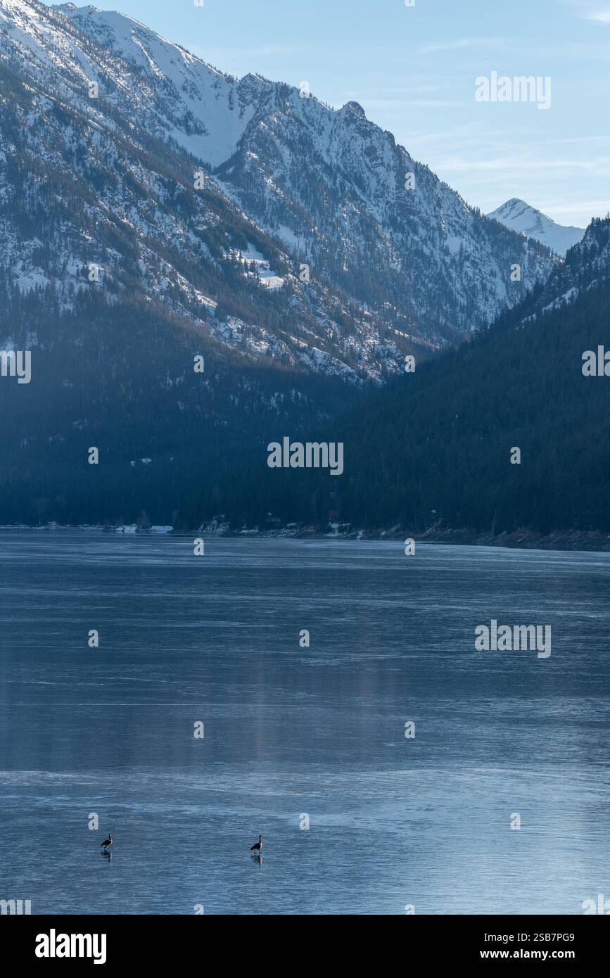 Oche del Canada sul ghiaccio, lago Wallowa, Oregon. Foto Stock