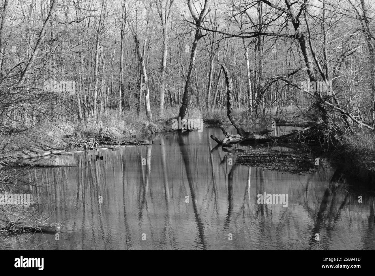 Black and White River Indiana Dunes National Park Foto Stock