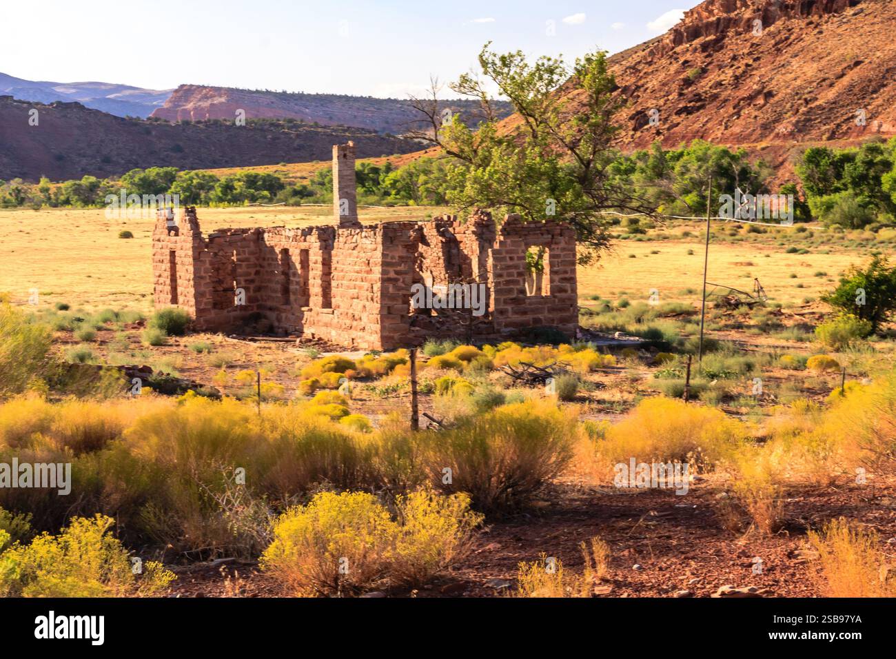 Una casa deserta e abbandonata si trova in un campo di erba gialla. La casa è vecchia e in rovina, con qualche albero sullo sfondo. La scena è tranquilla e.. Foto Stock