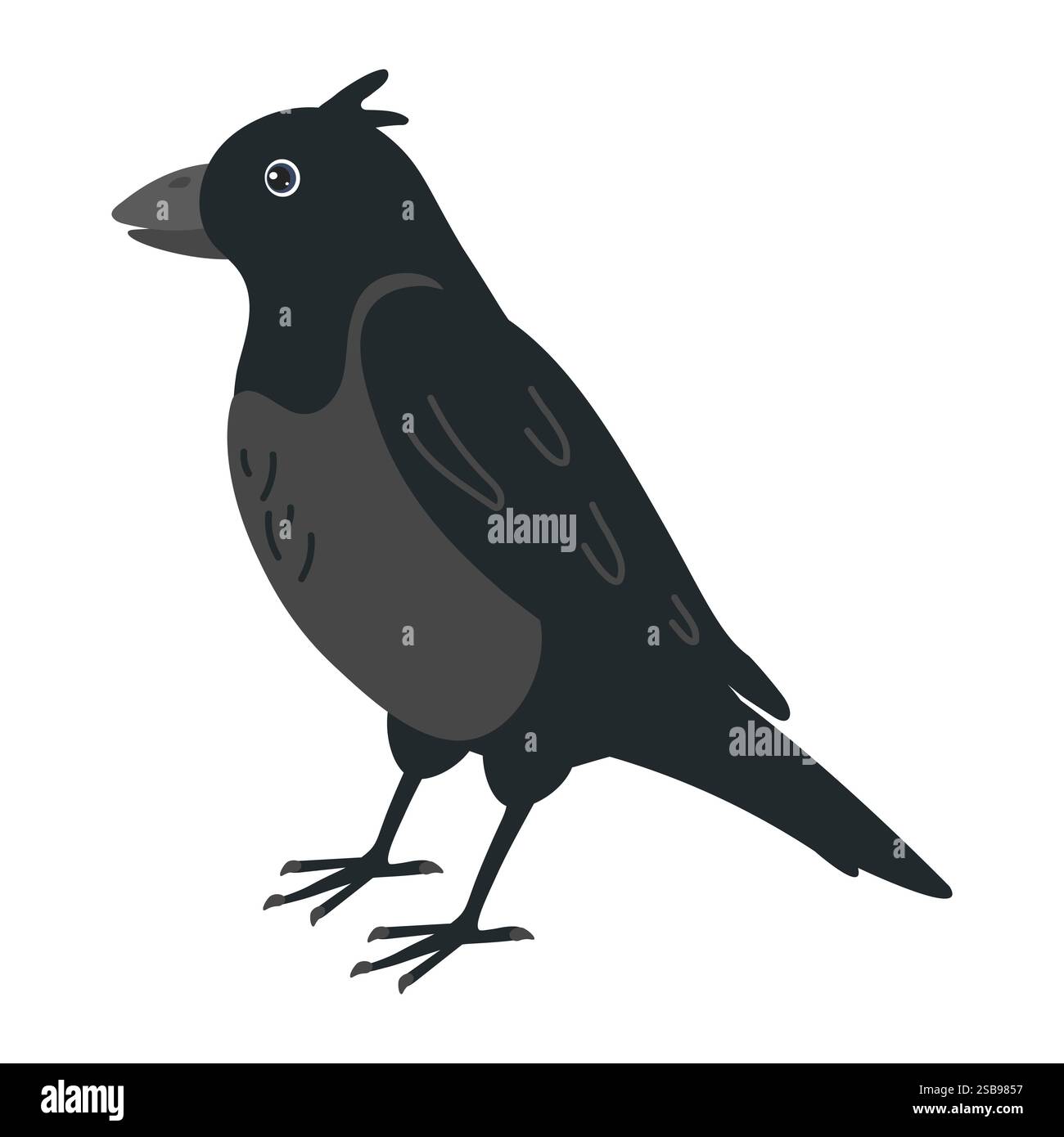 Uccello nero con caratteristiche distintive in piedi graziosamente in posa semplice Illustrazione Vettoriale