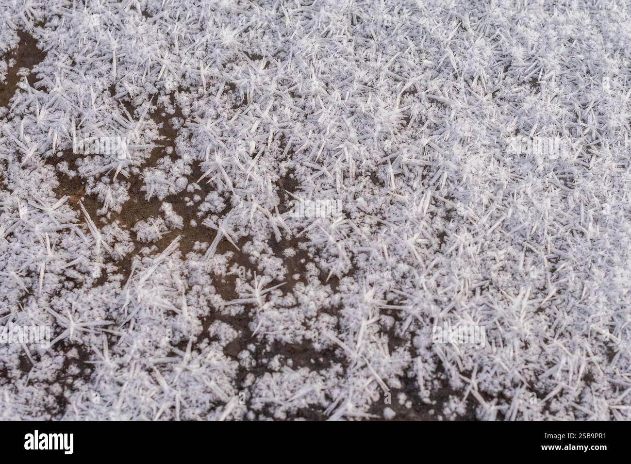 Fiocchi di neve sul terreno ghiacciato. Sfondo invernale Foto Stock