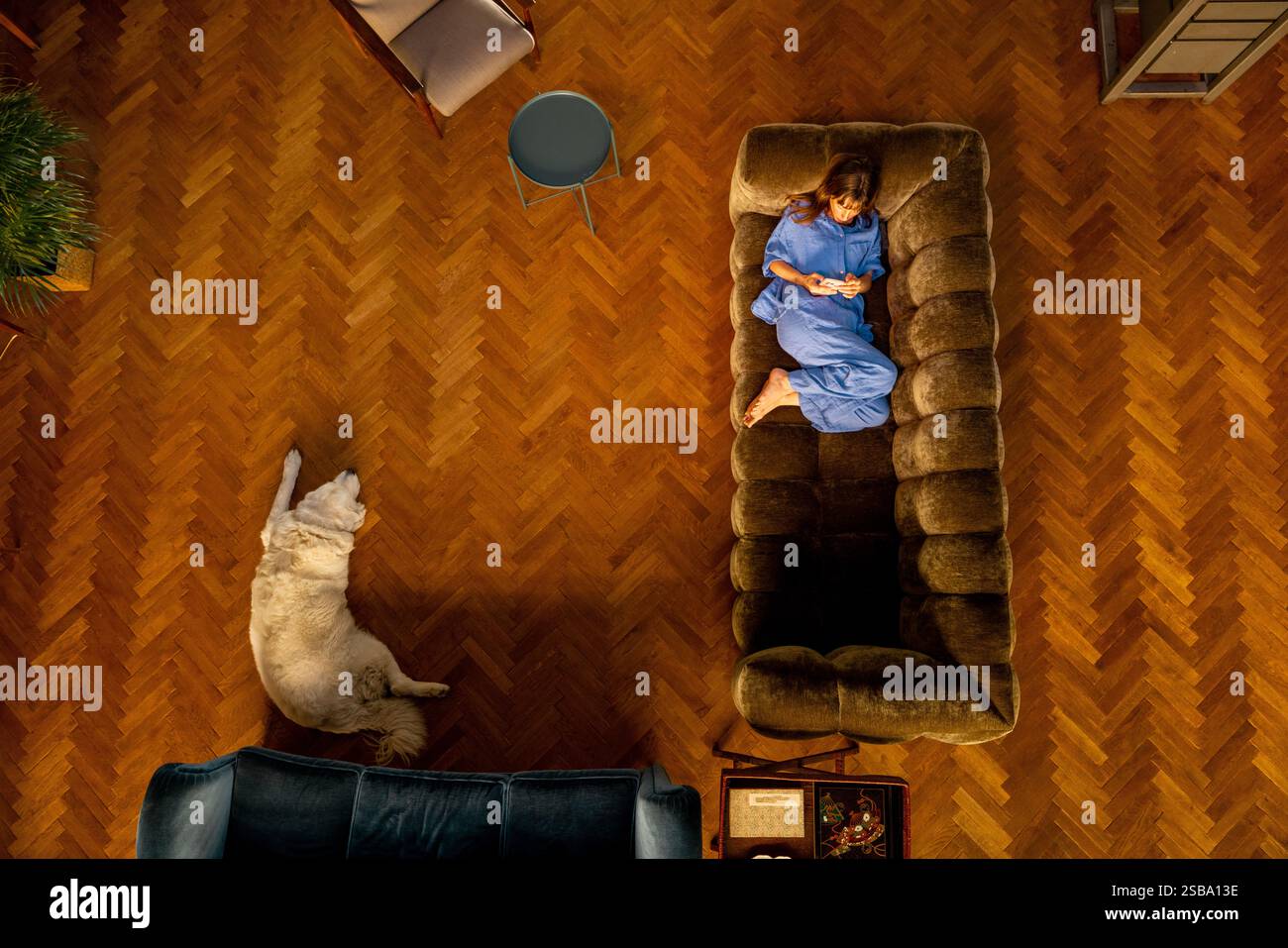 Una donna si rilassa su un morbido divano in velluto, scorrendo attraverso il suo telefono, mentre il suo grande cane bianco giace pacificamente su un pavimento in parquet di legno. Gli interni caldi ed eleganti con mobili vintage esaltano la scena Foto Stock