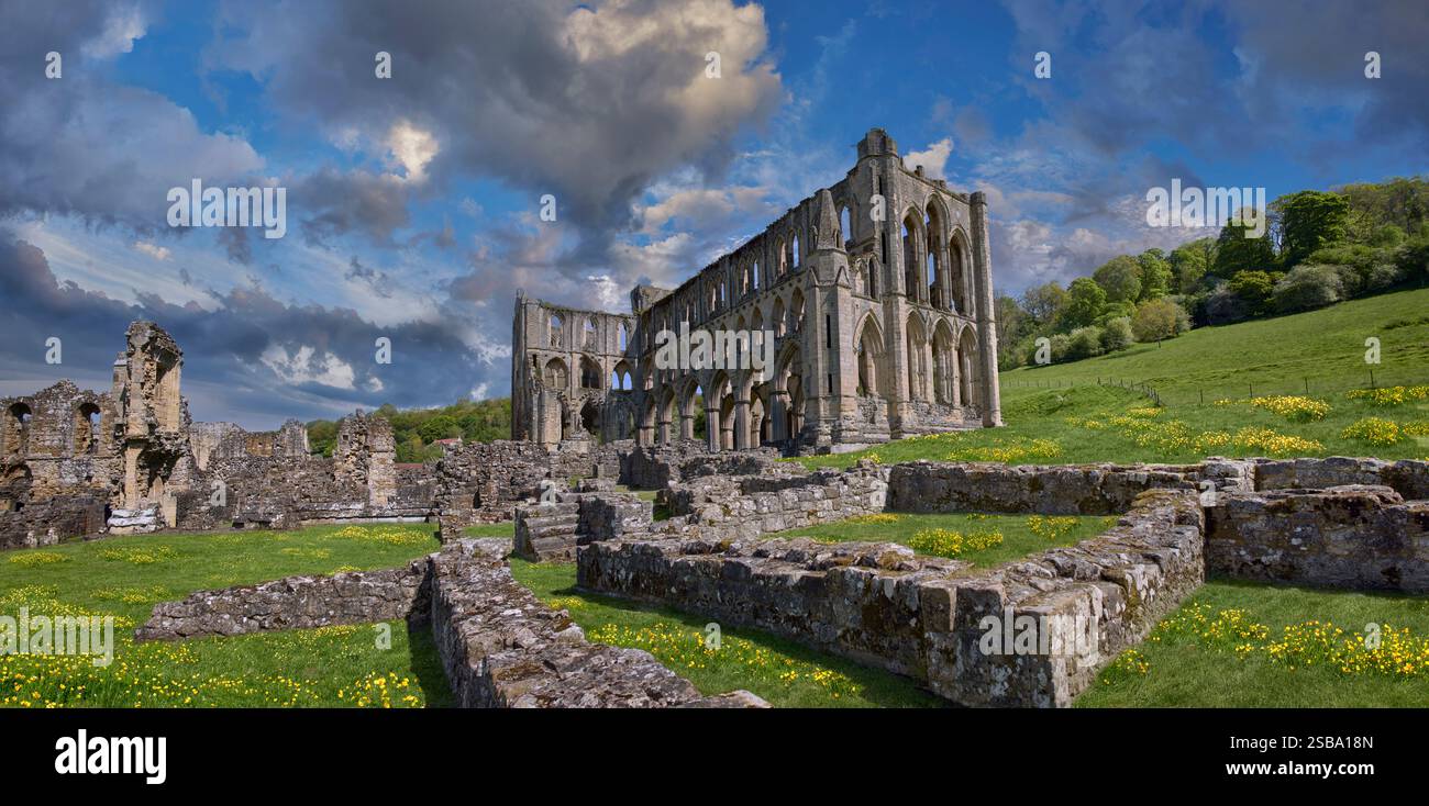 Rovine dell'abbazia di Rievaulx, North Yorkshire, Inghilterra. L'abbazia di Rievaulx fu il primo monastero cistercense nel nord dell'Inghilterra, fondato nel 1132 da 12 monaci Foto Stock