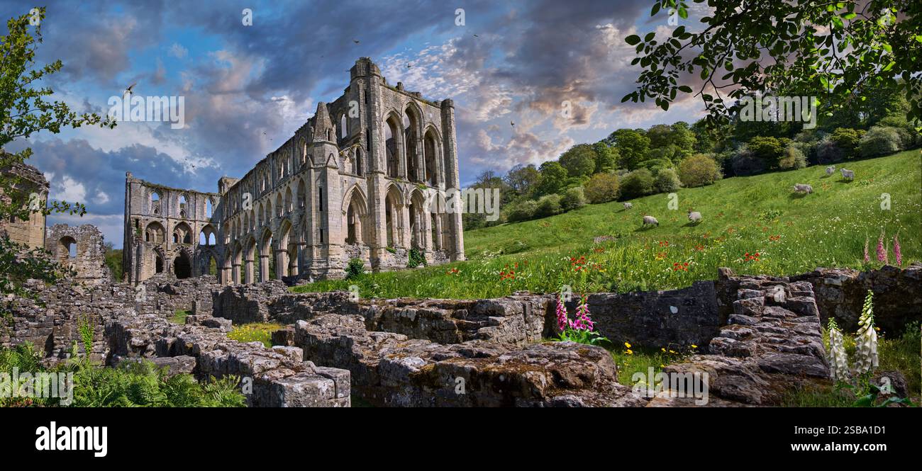 Rovine dell'abbazia di Rievaulx, North Yorkshire, Inghilterra. L'abbazia di Rievaulx fu il primo monastero cistercense nel nord dell'Inghilterra, fondato nel 1132 da 12 monaci Foto Stock