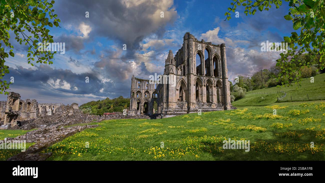 Rovine dell'abbazia di Rievaulx, North Yorkshire, Inghilterra. L'abbazia di Rievaulx fu il primo monastero cistercense nel nord dell'Inghilterra, fondato nel 1132 da 12 monaci Foto Stock