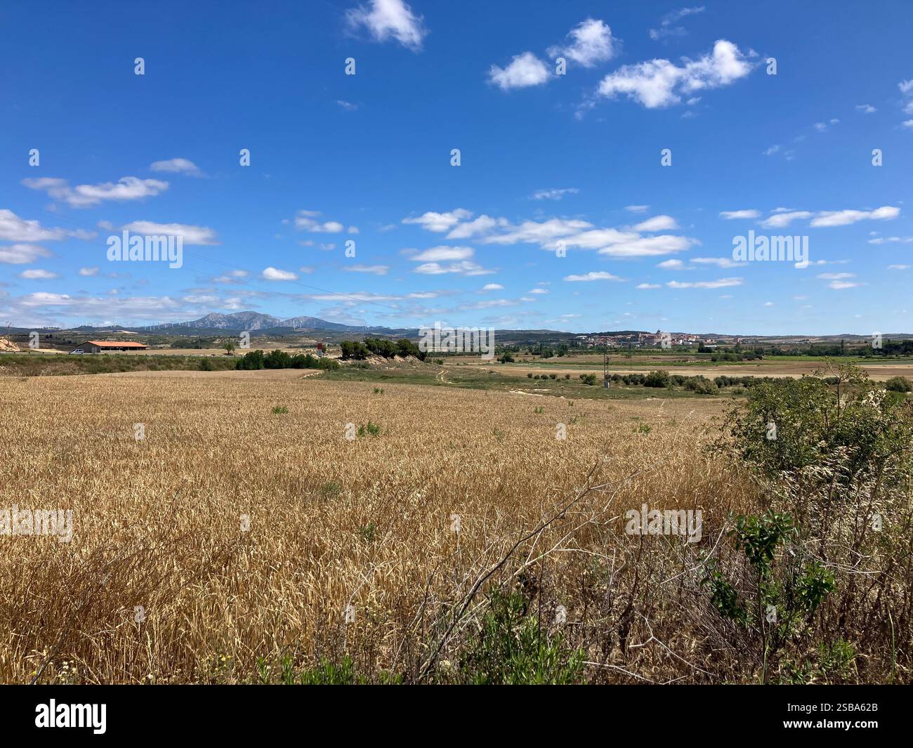 Ampi campi aperti e cieli blu. Il Camino Francés si avvicina a Logroño nel nord della Spagna - Immagine stock catturata con smartphone