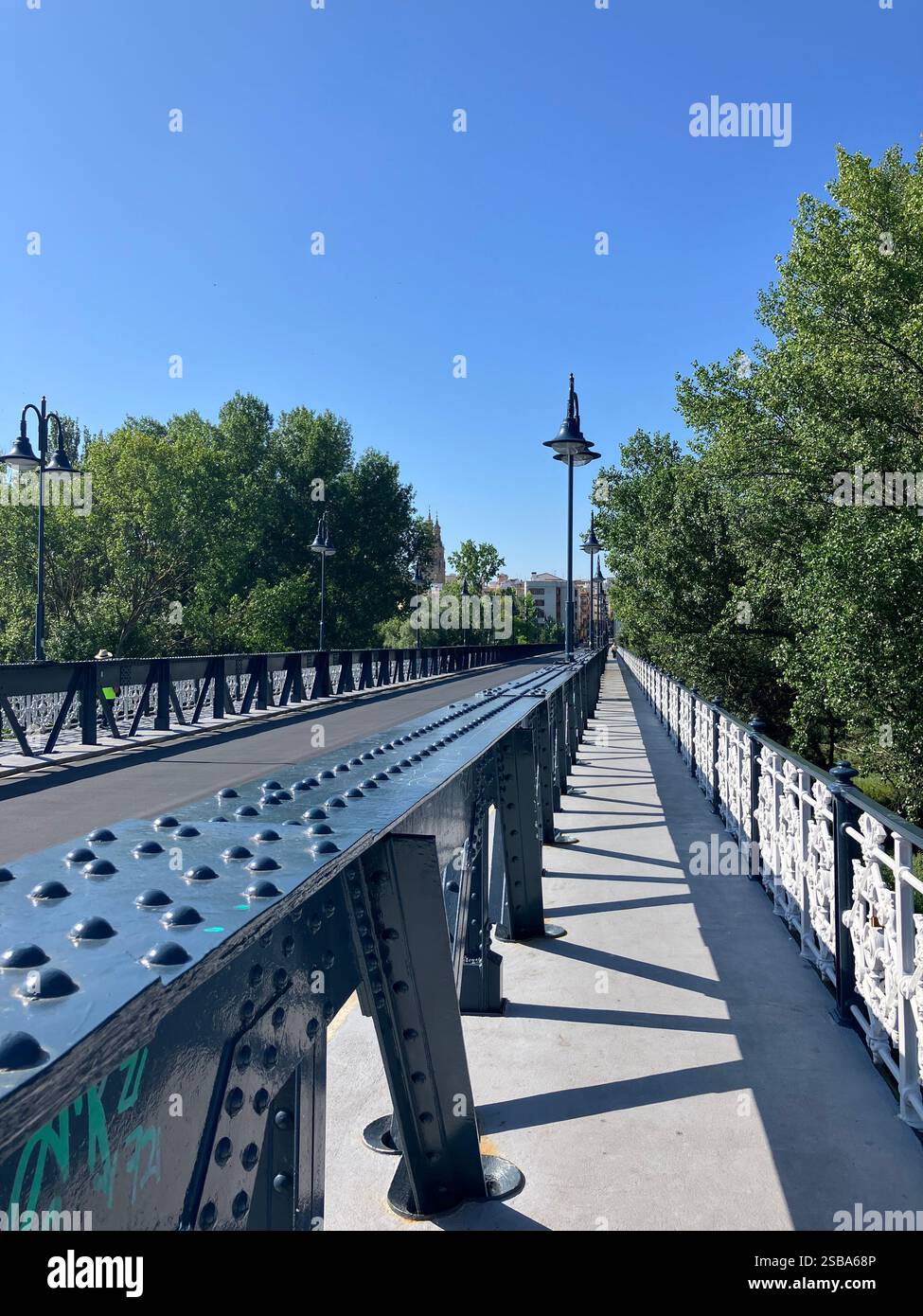 Puente de Hierro, il ponte di ferro di Logrońo costruito nel 1882 e progettato da Fermin Manso de Zúñiga Foto Stock