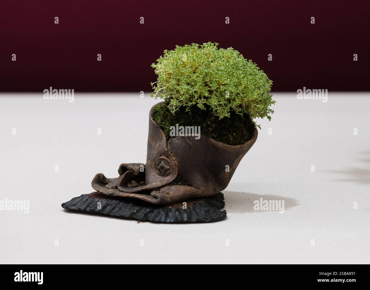 RHS Chelsea Flower Show 2024 Foto Stock