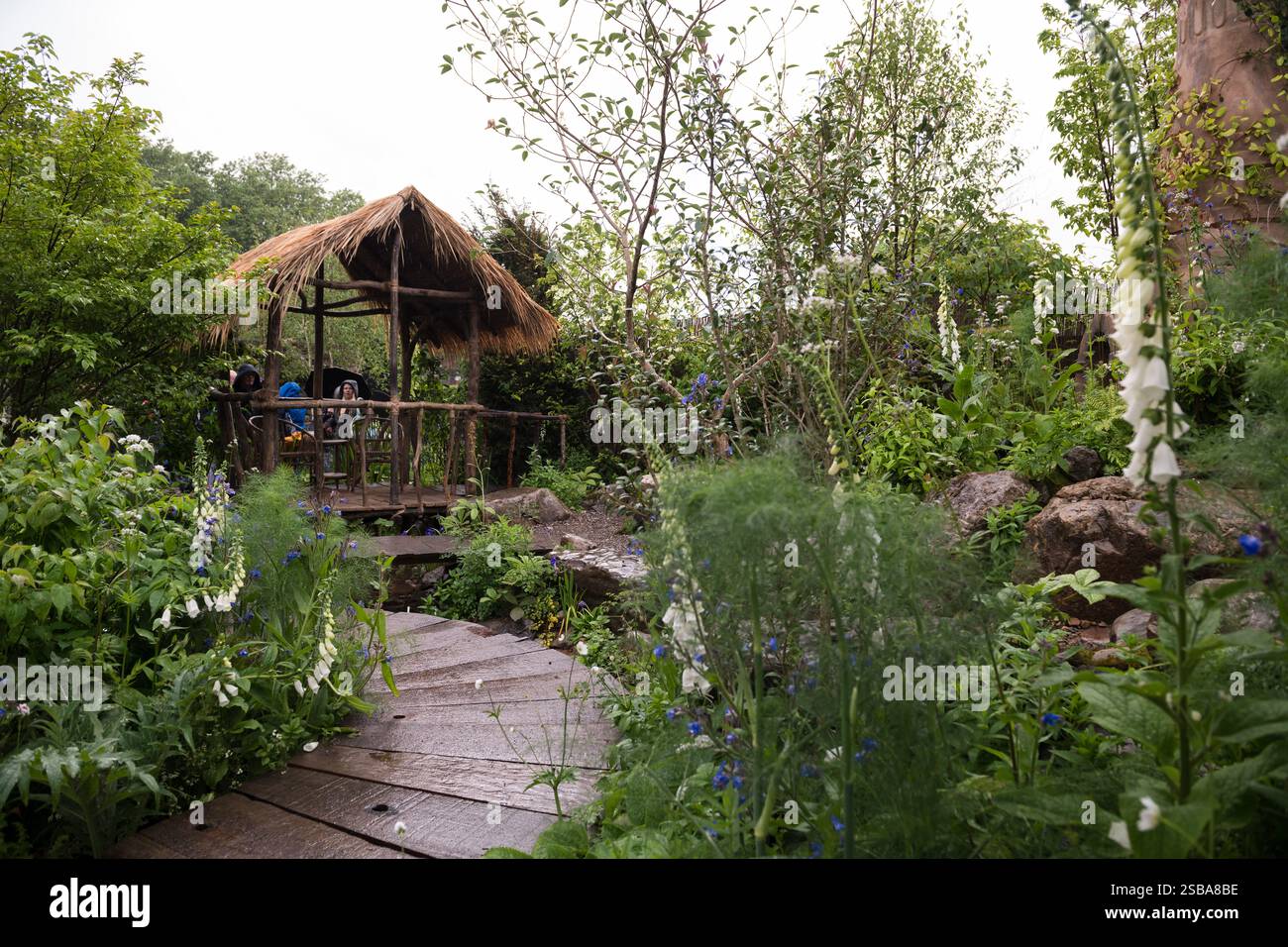 Burma Skincare Initiative Spirit of Partnership Garden progettato da Helen Olney RHS Chelsea Flower Show 2024, Gold Award, Best Sanctuary Garden Foto Stock