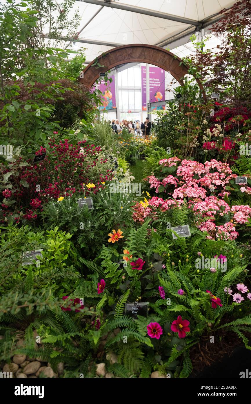 RHS Chelsea Flower Show 2024 Foto Stock