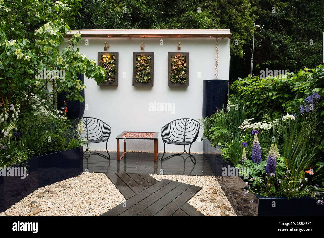 The Water Saving Garden progettato da Sam Proctor, RHS Chelsea Flower Show 2024 Foto Stock