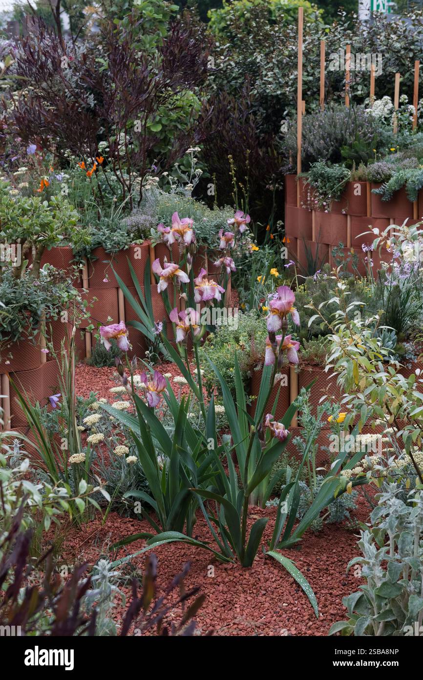 World Child Cancer's Nurturing Garden disegnato da Giulio Giorgi, RHS Chelsea Flower Show 2024 Foto Stock