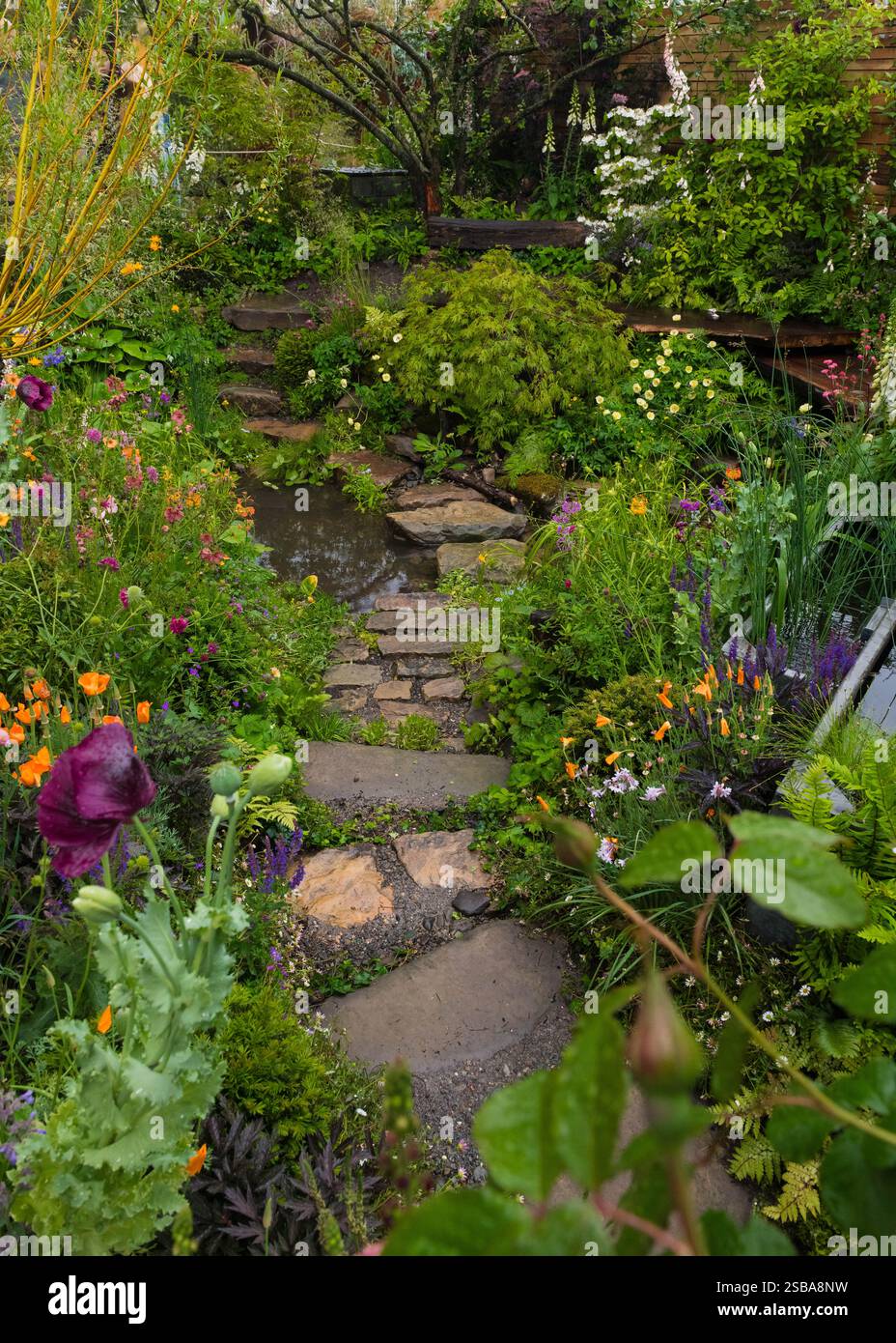 Flood Re: The Flood Resilient Garden disegnato da Naomi Slade & ed Barsley, RHS Chelsea Flower Show 2024 Foto Stock