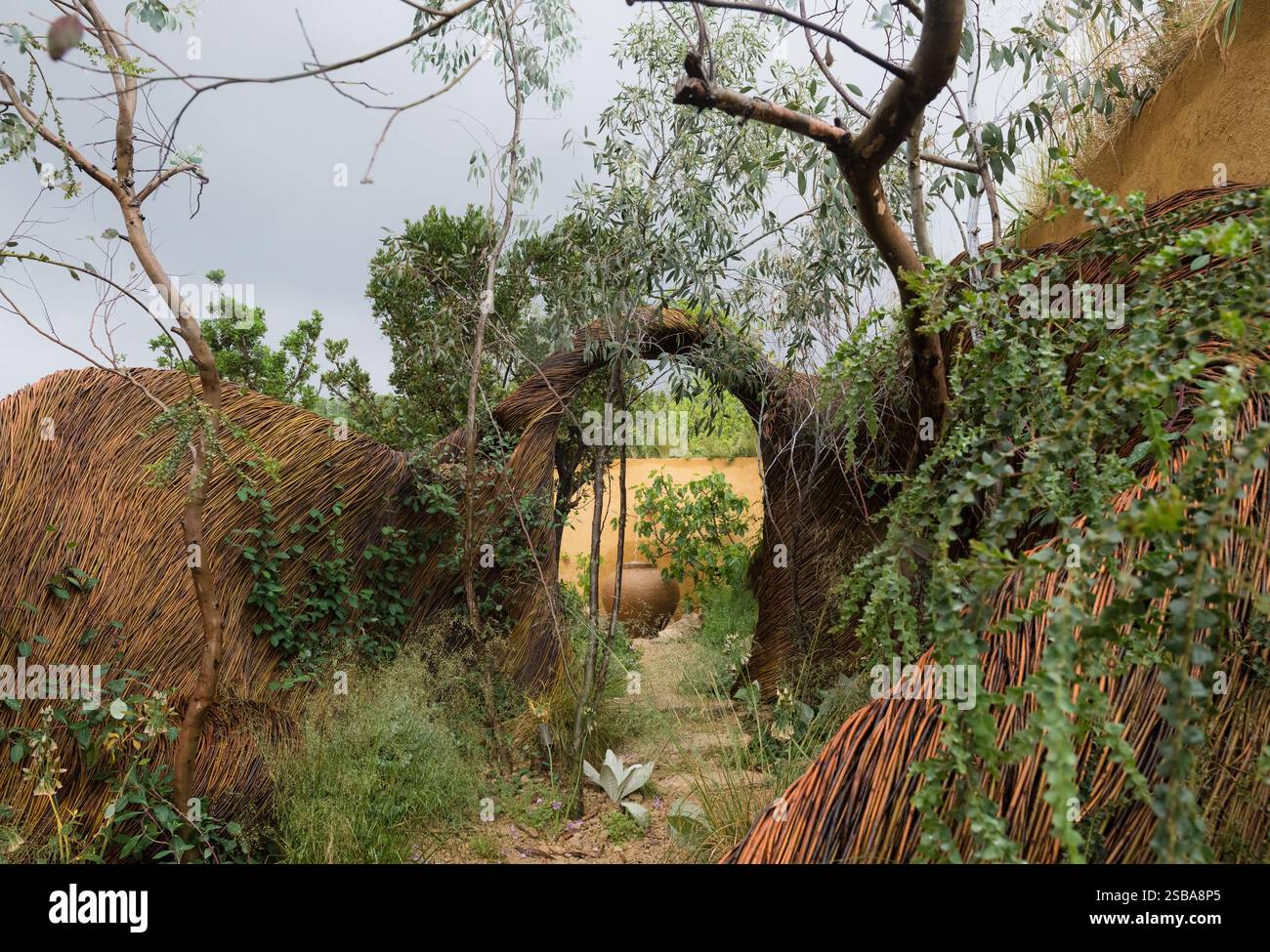 The Freedom from torture Garden: A Sanctuary for Survivors progettato da John Warland ed Emma o'Connell RHS Chelsea Flower Show 2024, Silver Award Foto Stock