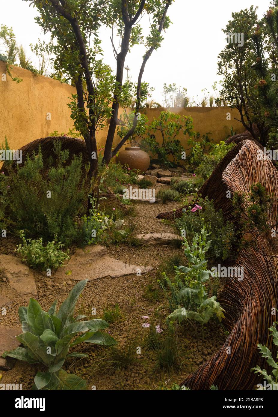 The Freedom from torture Garden: A Sanctuary for Survivors progettato da John Warland ed Emma o'Connell RHS Chelsea Flower Show 2024, Silver Award Foto Stock