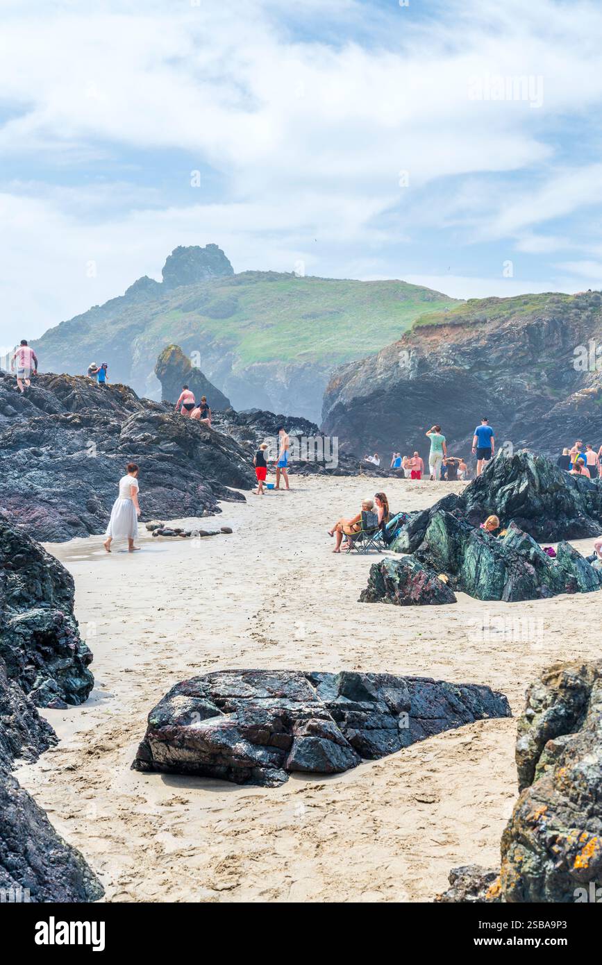 Kynance Cove, Penisola di Lizard, Lizard, Cornovaglia, Inghilterra, Regno Unito, Europa Foto Stock