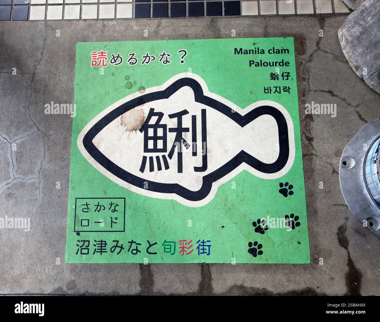Piastrelle posizionate sul marciapiede in Numazu Minato Shunsai Street o Fish Road al porto di Numazu a Numazu, prefettura di Shizuoka, Giappone. Foto Stock