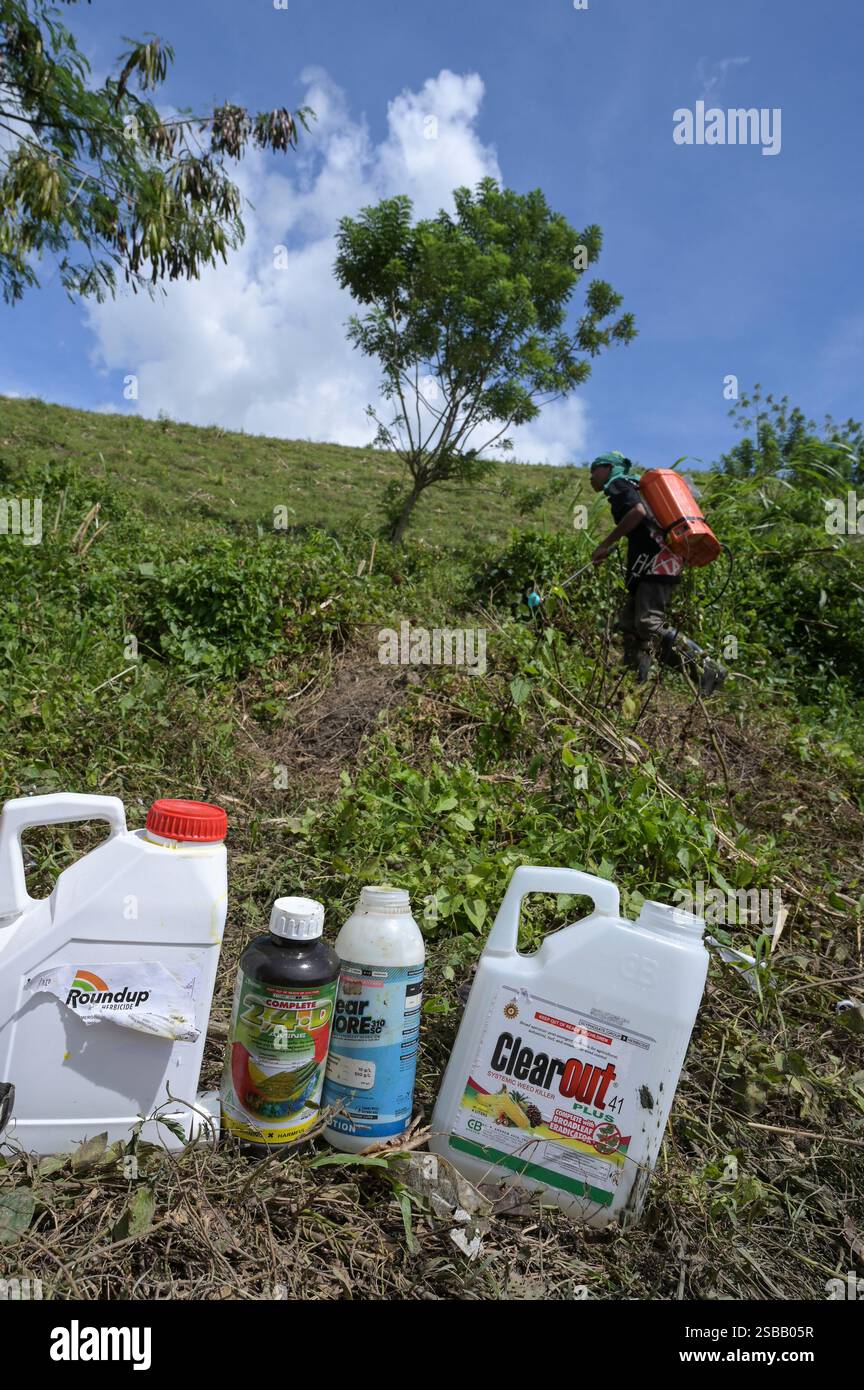 FILIPPINE, Mindanao Island, Kidapawan, cocktail erbicida mescolato da operai con marche di glifosato Clear Out e Roundup di Monsanto Bayer nel piccolo lago per preparare una spruzzatura nel vicino campo di mais Foto Stock