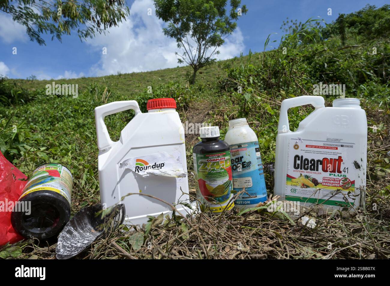 FILIPPINE, Mindanao Island, Kidapawan, cocktail erbicida mescolato da operai con marche di glifosato Clear Out e Roundup di Monsanto Bayer nel piccolo lago per preparare una spruzzatura nel vicino campo di mais Foto Stock