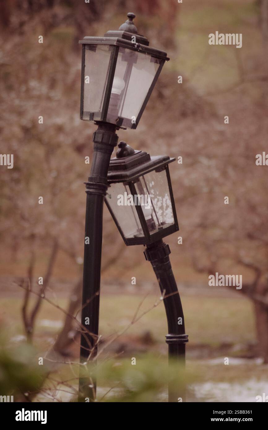 Torino, Italia. Nel Parco del Valentino è possibile vedere le famose lampade di strada innamorate, opere d'arte del giardiniere cittadino Rodolfo Marasciuolo. Foto Stock
