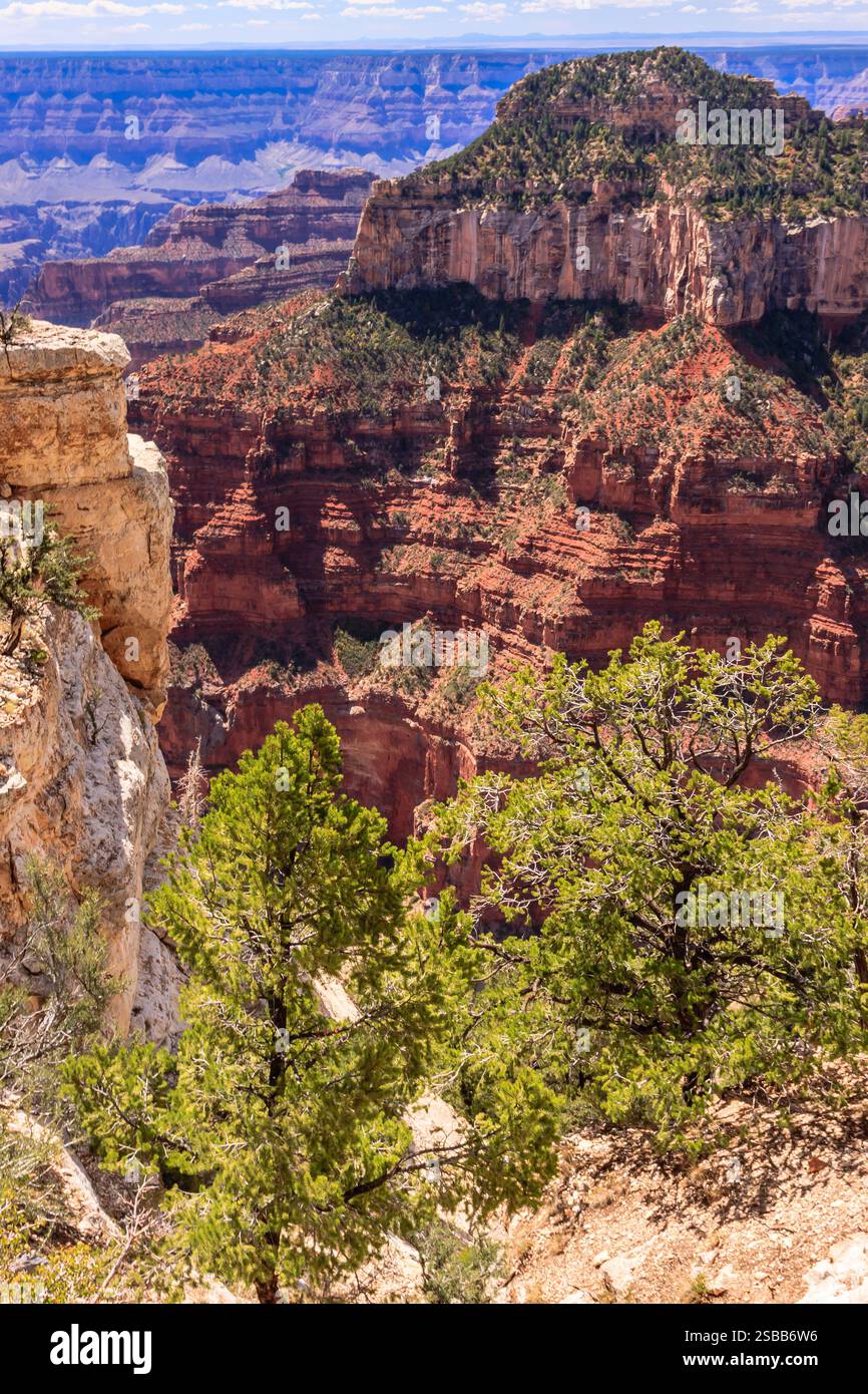 Il Grand Canyon National Park è uno dei parchi nazionali più antichi degli Stati Uniti e si trova in Arizona. All'interno del parco si trova il Grand Canyon, un gorg Foto Stock