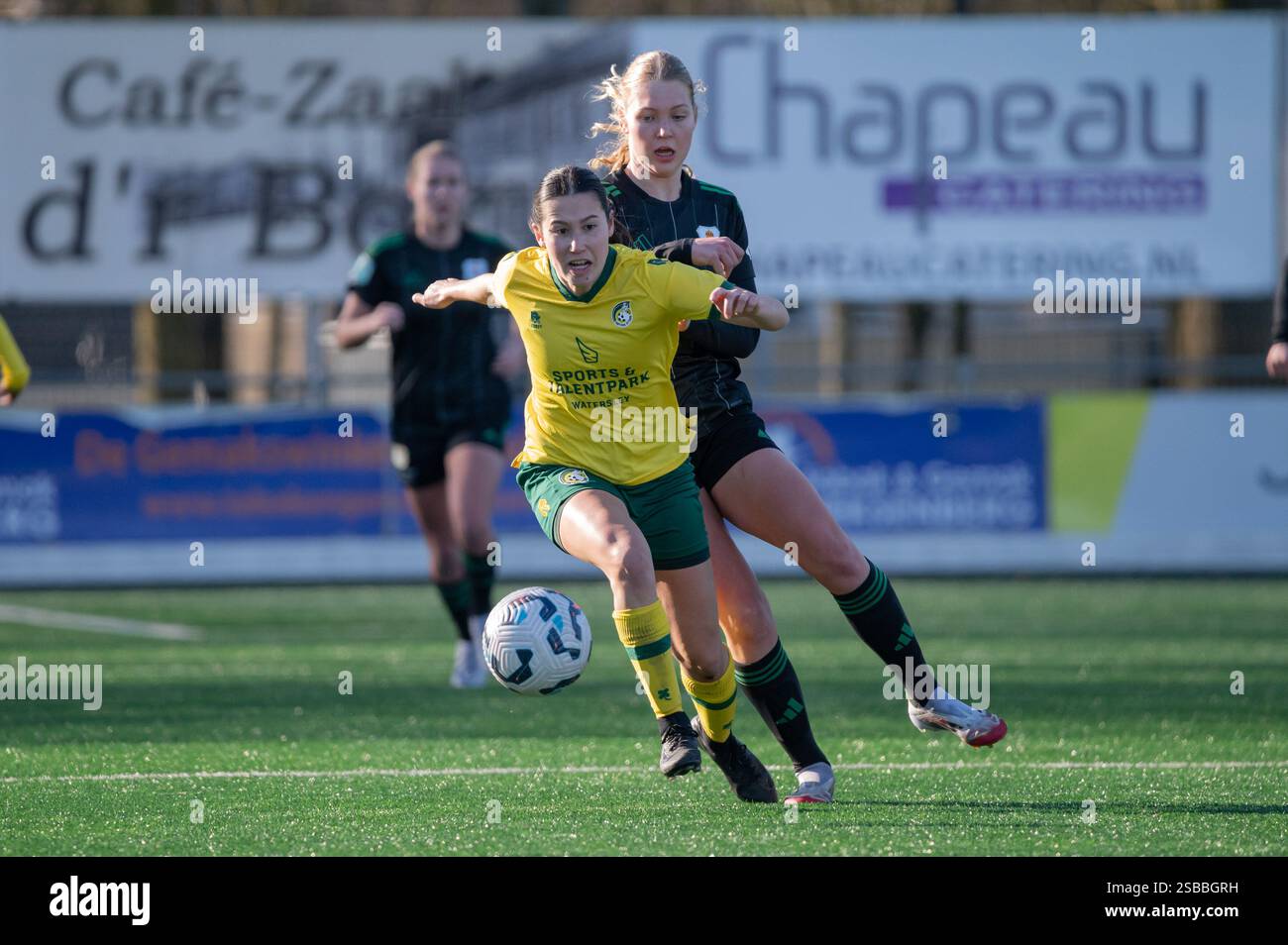Heerlen, Paesi Bassi. 2 febbraio 2025. Heerlen, Paesi Bassi, 02 febbraio 2025: Isabel Kopp (26 fortuna Sittard Vrouwen) e Zoë Zuidberg (11 PEC Zwolle Vrouwen) combattono per la palla (duello) durante la partita Azerion Vrouwen Eredivisie tra fortuna Sittard Vrouwen e PEC Zwolle Vrouwen allo Sportpark Pronsebroek di Heerlen, Paesi Bassi (Martin Credit Pitsch/SPP Sport Press). /Alamy Live News Foto Stock
