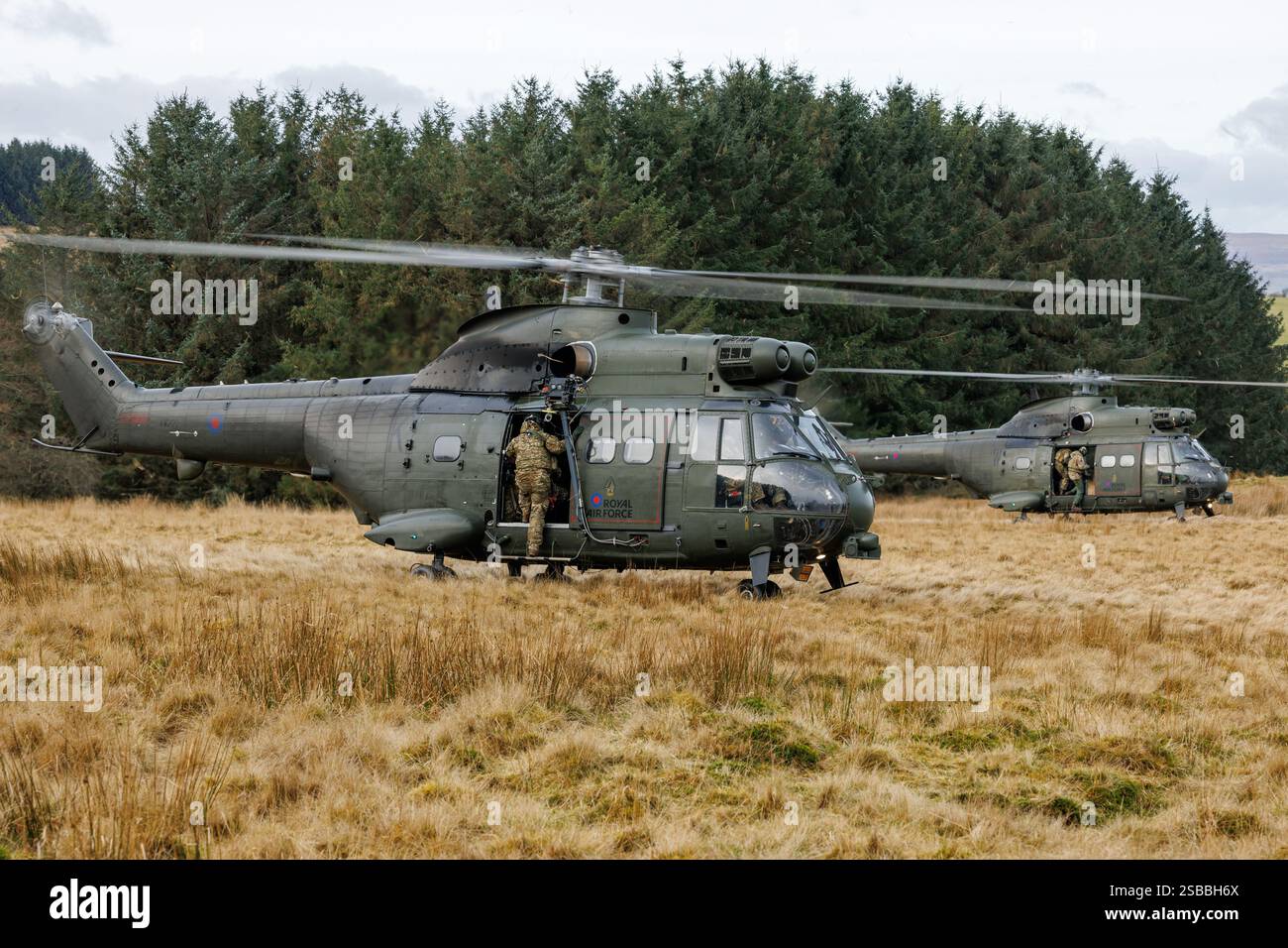 Elicotteri Puma in addestramento KUKRI con segnale di chiamata su SENTA Foto Stock