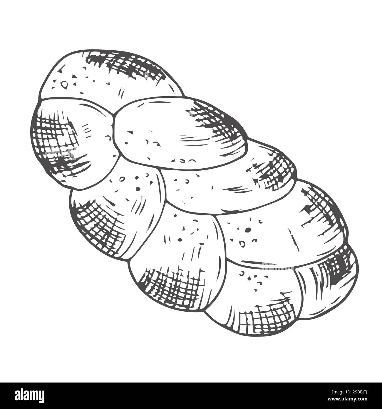 Cereali piante e cereali, orzo di segale e punte di spighe di grano. Concetto di prodotti da forno. Illustrazione del vettore di schizzo disegnato a mano Illustrazione Vettoriale