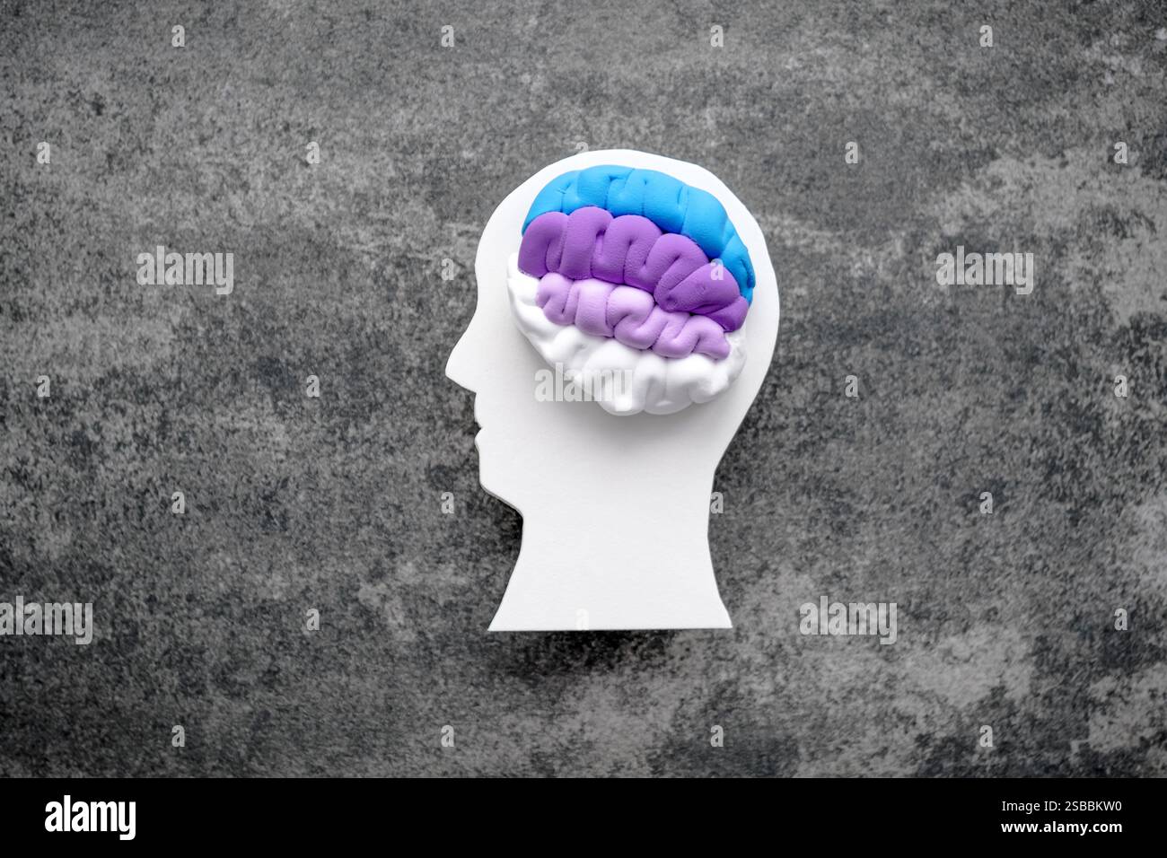 Un modello Brain realizzato con sfumature di materiale viola si appoggia con il blu della testa Foto Stock