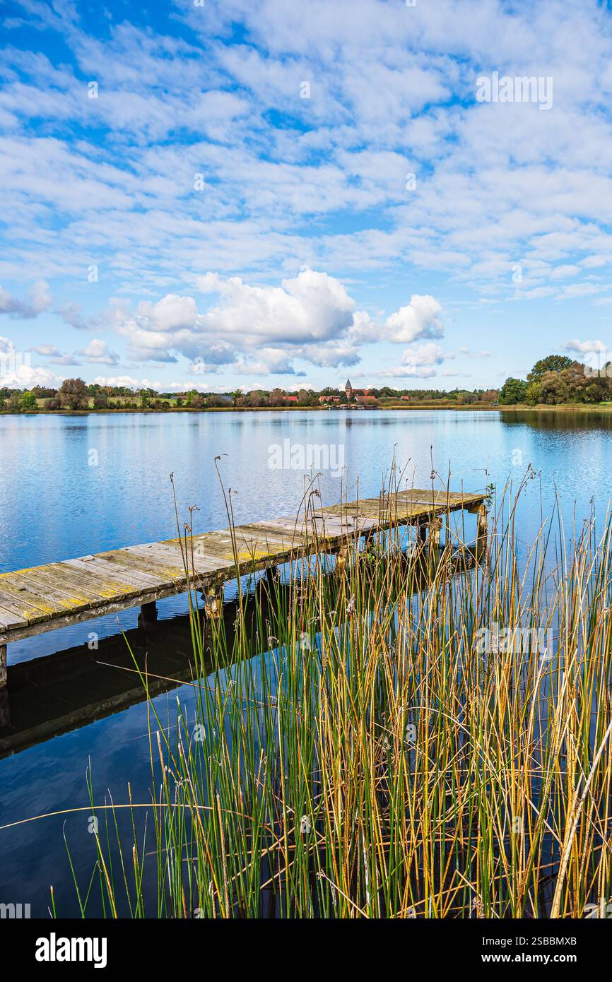 Passerella e canne sul lago di Cracovia nel villaggio di Serrahn, Germania. Foto Stock Passerella e canne sul lago di Cracovia nel villaggio di Serrahn, Germania. Foto Stock