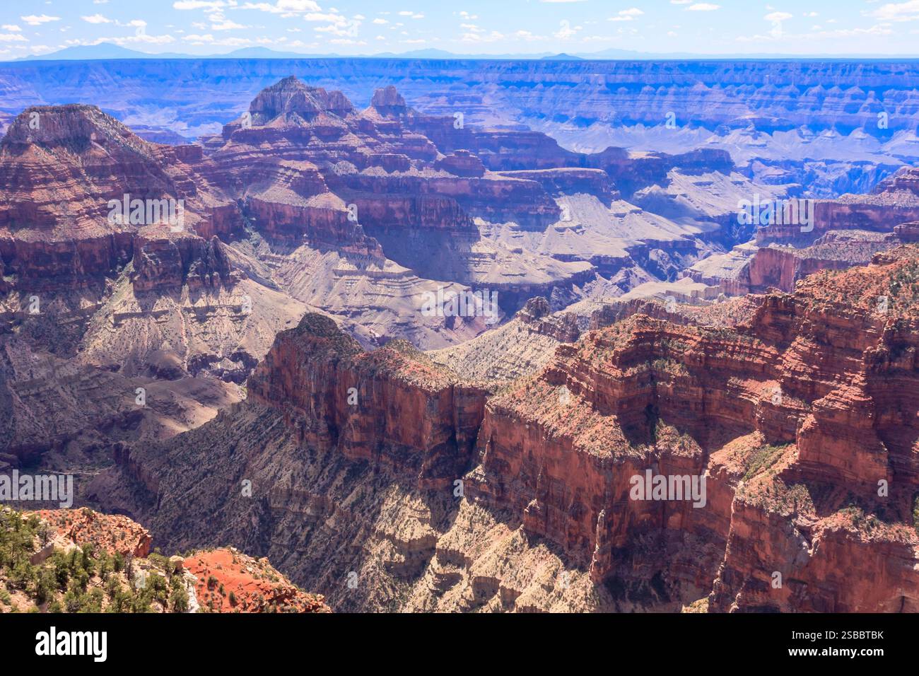 Il Grand Canyon National Park è uno dei parchi nazionali più antichi degli Stati Uniti e si trova in Arizona. All'interno del parco si trova il Grand Canyon, un gorg Foto Stock
