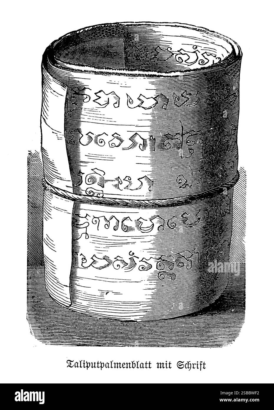 Le foglie di palma talipot, note per la loro durata e la loro consistenza fine, sono state tradizionalmente utilizzate nel Sud e Sud-Est asiatico per preservare testi sacri e manoscritti importanti. L'incisione mette in risalto l'attenta maestria artigianale nella preparazione e nella scrittura di queste foglie, con ogni foglia accuratamente legata per formare un rotolo. La raffinata ed elegante sceneggiatura riflette il significato del contenuto, catturando l'essenza della conoscenza antica e del patrimonio culturale preservato nel corso dei secoli Foto Stock