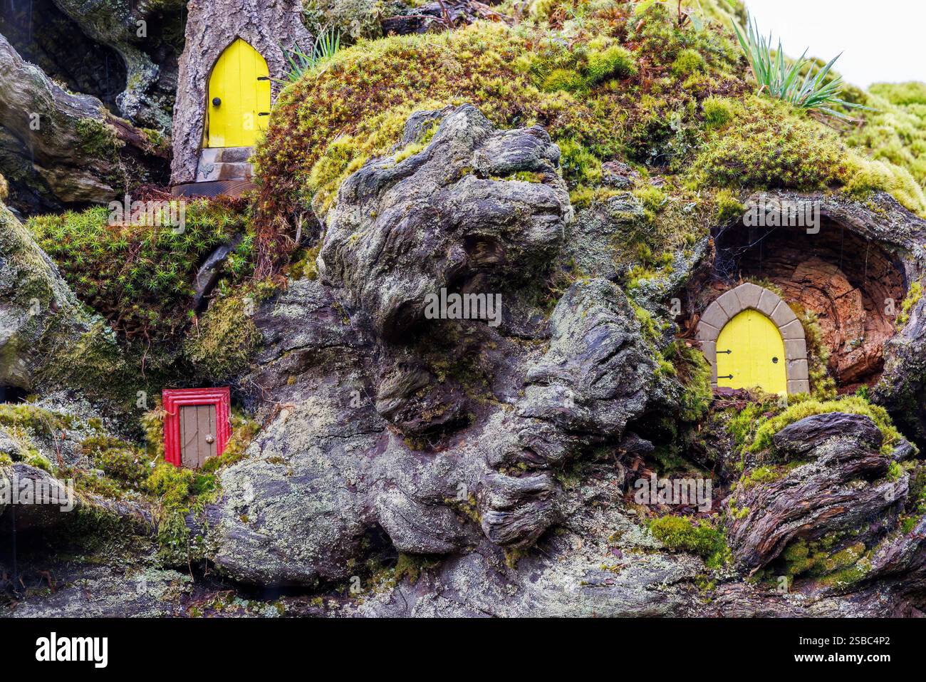Hobbit Doors incastonato tra alberi, Dinefwr, Galles, Regno Unito Foto Stock Hobbit Doors incastonato tra alberi, Dinefwr, Galles, Regno Unito Foto Stock