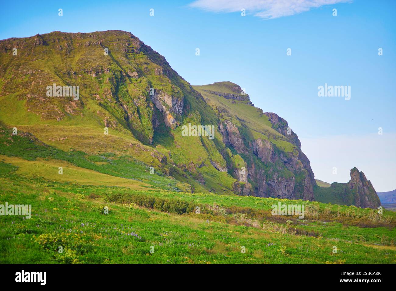 Splendido paesaggio naturale con campi verdi e maestose scogliere con ghiaccio e neve nel sud dell'Islanda Foto Stock