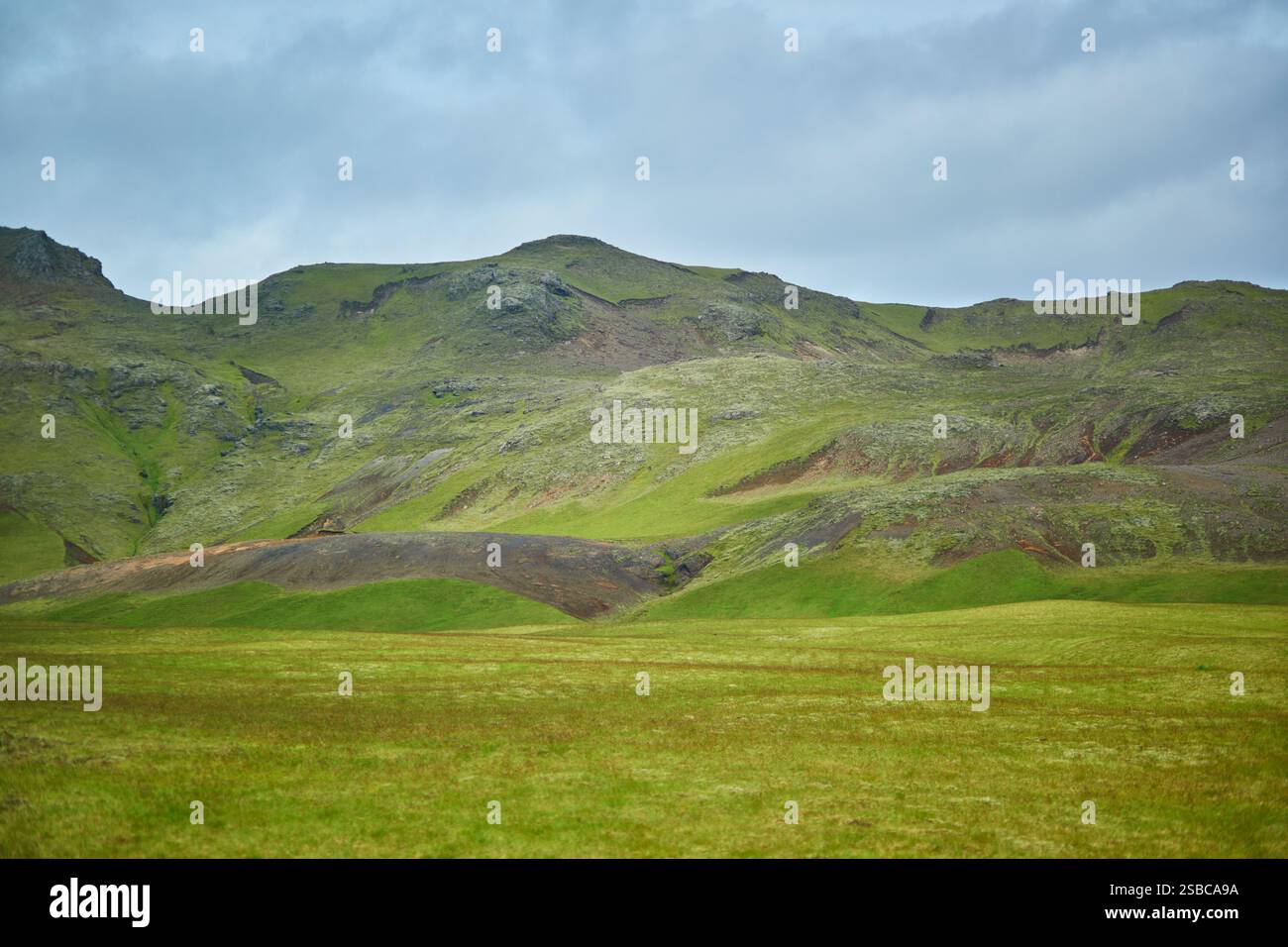 Splendido paesaggio naturale con campi verdi e maestose scogliere con ghiaccio e neve nel sud dell'Islanda Foto Stock