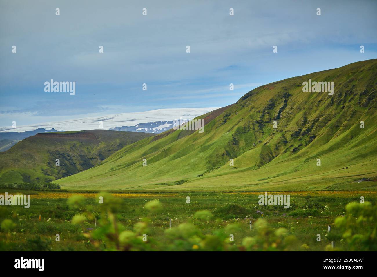 Splendido paesaggio naturale con campi verdi e maestose scogliere con ghiaccio e neve nel sud dell'Islanda Foto Stock