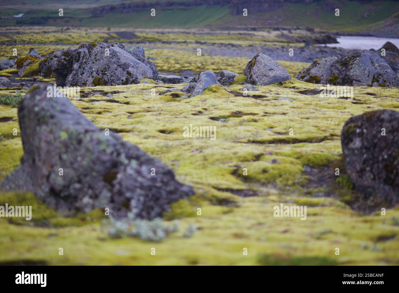Maestosi paesaggi estivi con scogliere e campi nel sud dell'Islanda Foto Stock