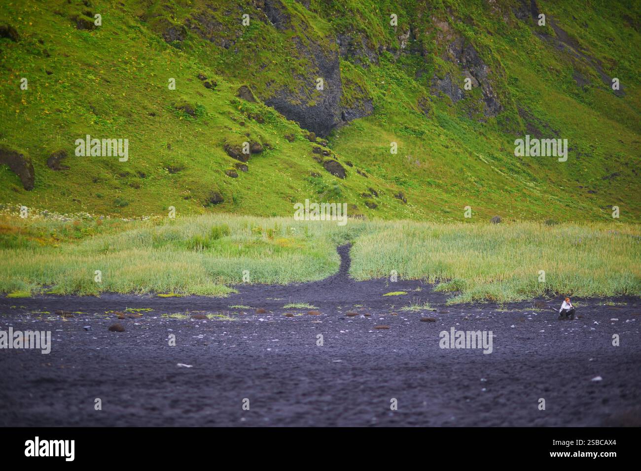 Vista panoramica della spiaggia di sabbia nera di Vikurfjara a Vik nell'Islanda meridionale Foto Stock