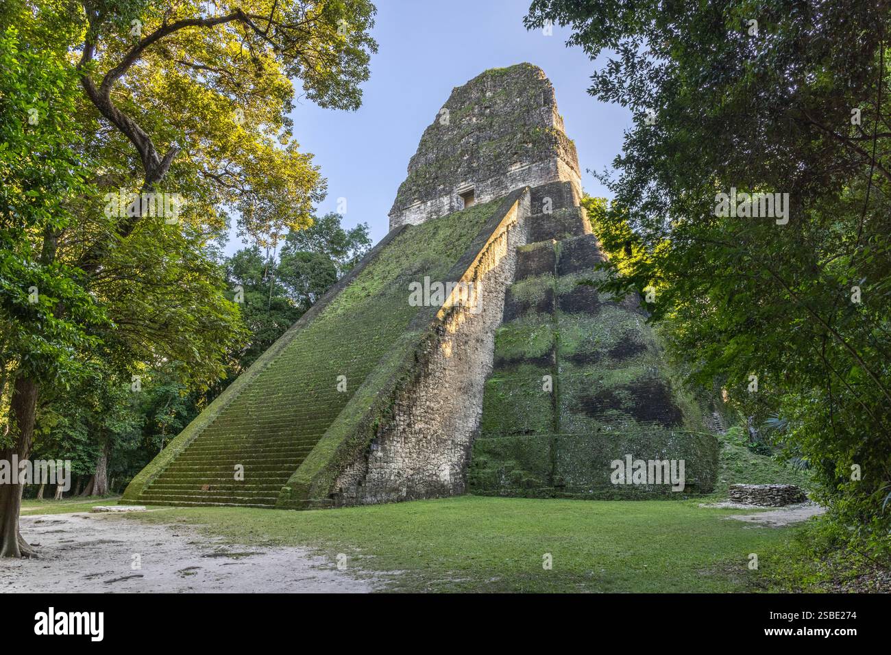Tempio V dell'antica città maya di Tikal nella foresta pluviale tropicale di Petén, El Peten, Guatemala Foto Stock
