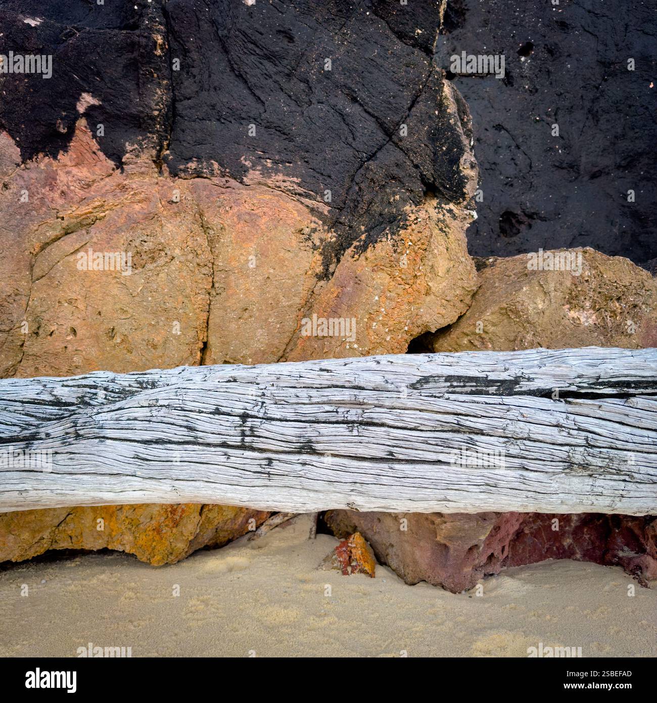 Il tronco di Driftwood e le rocce arancioni e nere formano una texture quadrata astratta dello sfondo Foto Stock