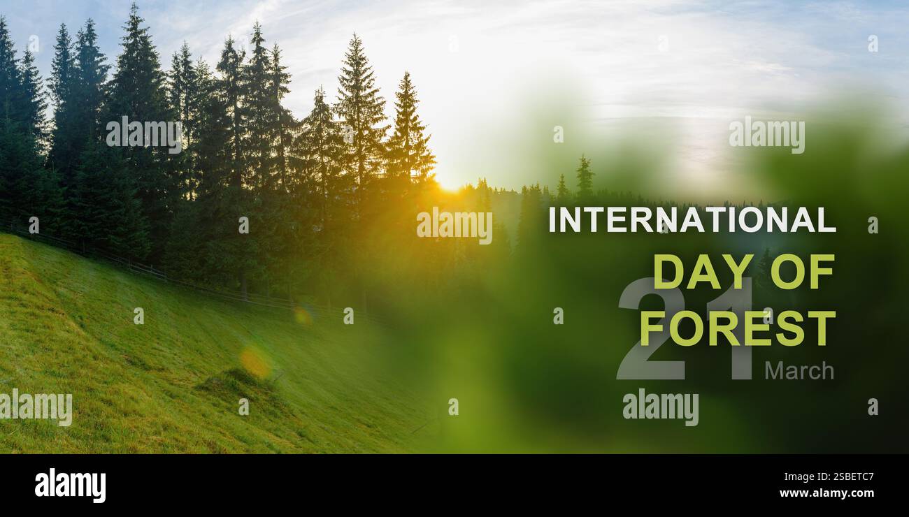 Giornata internazionale della foresta, 21 marzo Foto Stock