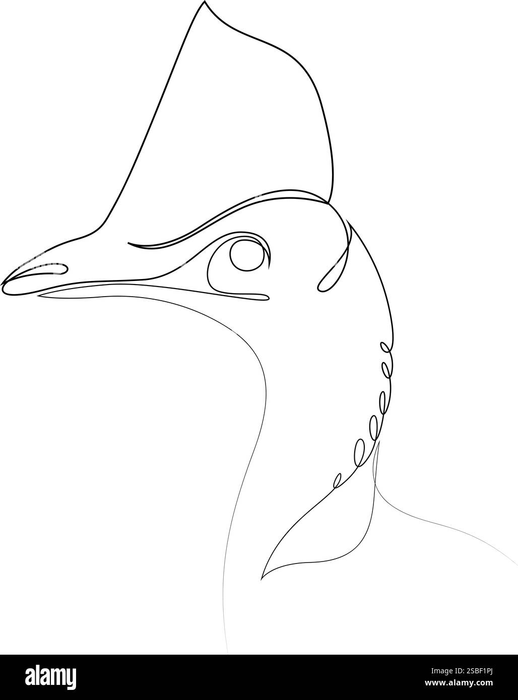 Silhouette a forma di uccello Cassowary su una linea. Illustrazione vettoriale in stile minimalista disegnata a mano Illustrazione Vettoriale