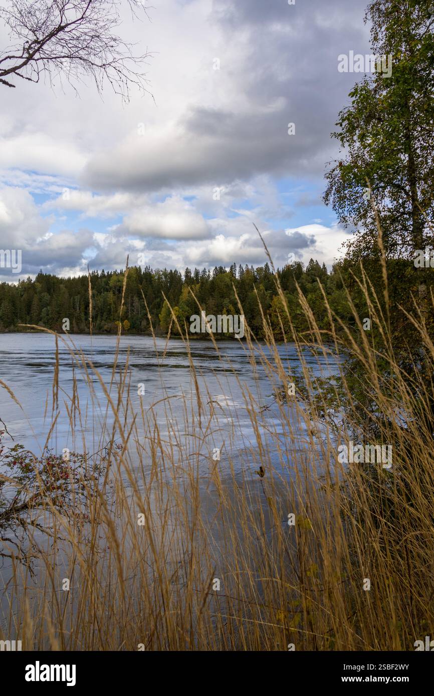 Un momento tranquillo in riva al fiume: Riflessi della foresta, un ponte in legno e utensili da cucina dimenticati che suggeriscono una storia lasciata nell'abbraccio della natura Foto Stock
